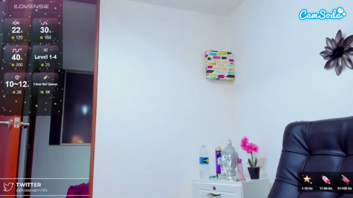 roxanasmiith