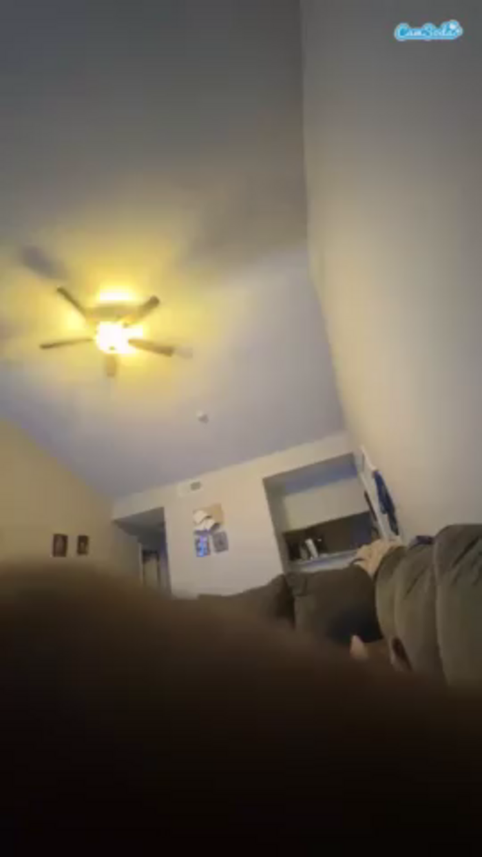 zaydubs1