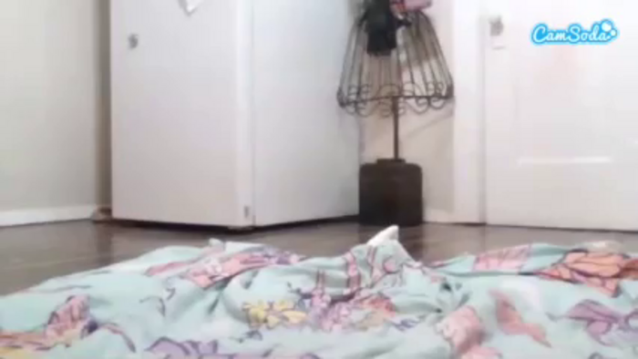 skyepastelxoxo