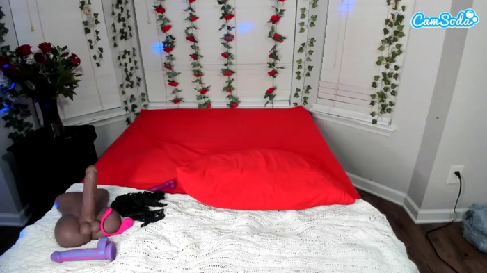 bigbootysarenalove