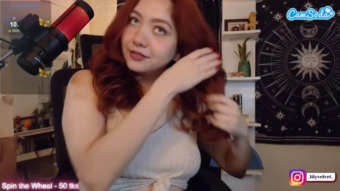 lilyvelvet