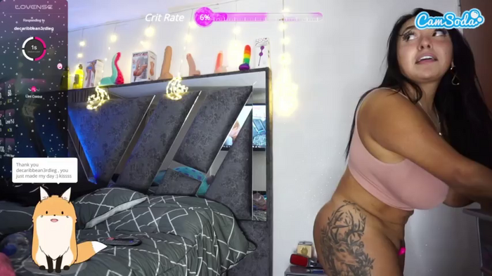 paraadisecity