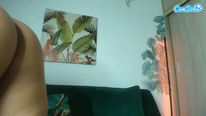 sugarcataleya