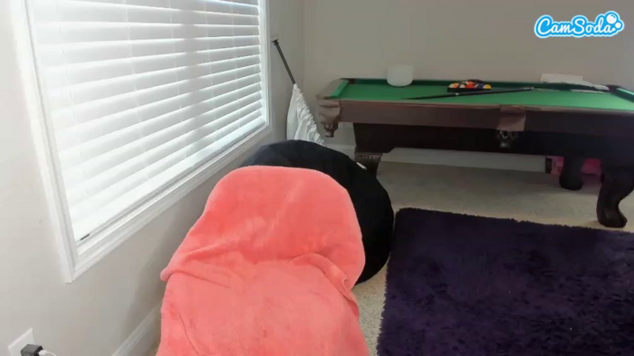 msfitqueen
