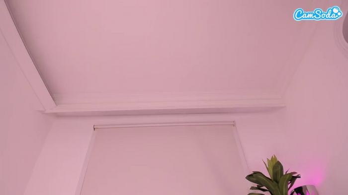 ashleypurple