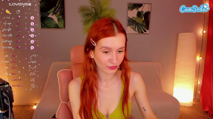 dahlia-shy