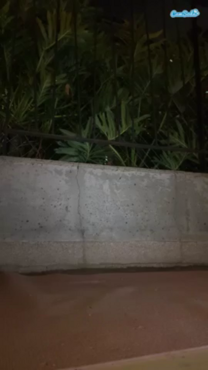 anastaxialynn