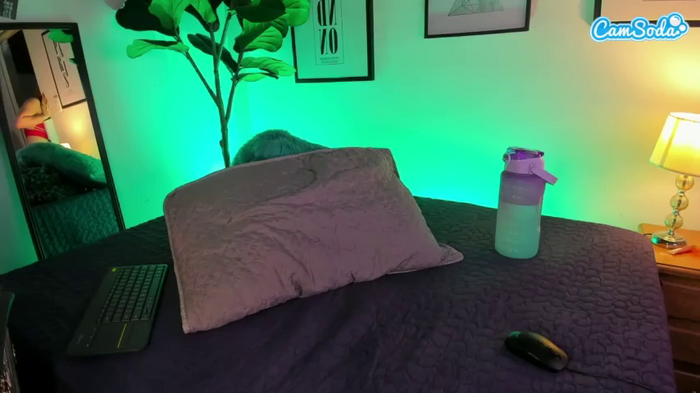candytroy