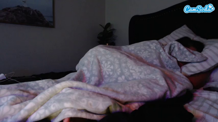 ladyparis