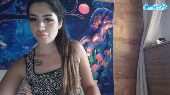 dakotafox