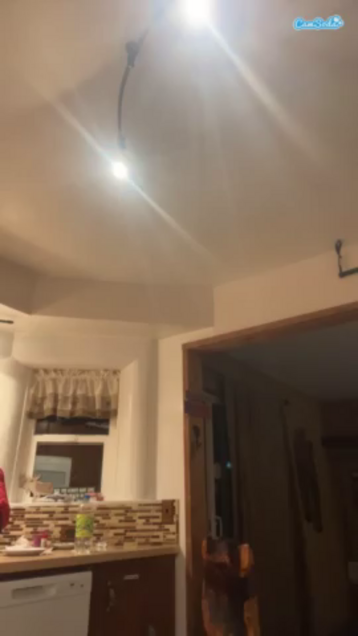pantiespleaser