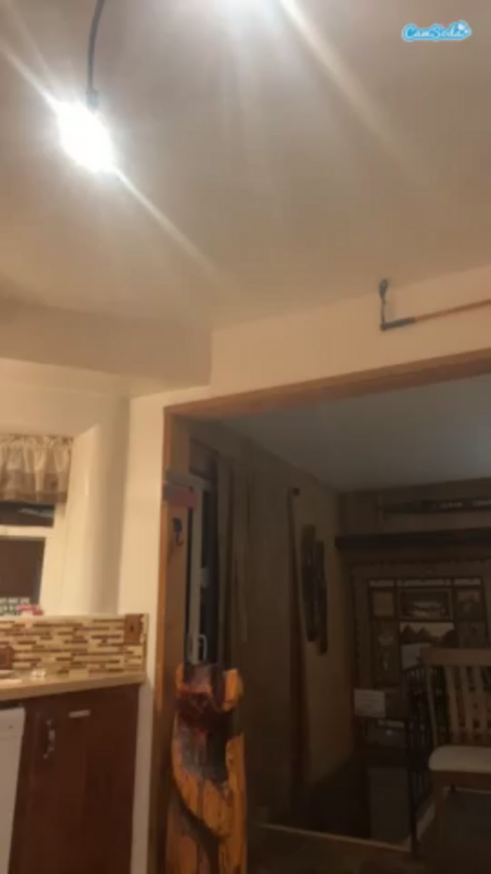 pantiespleaser