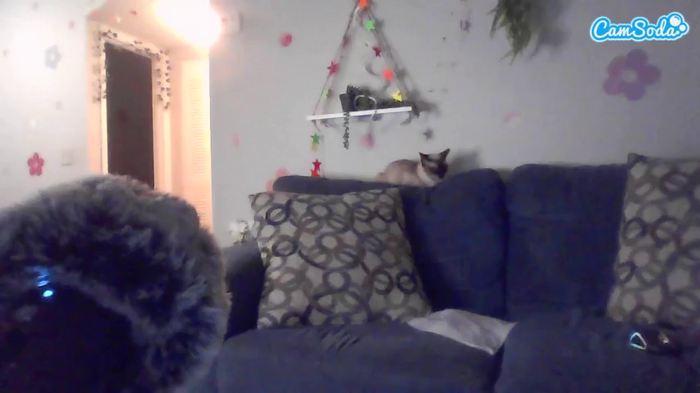 parkergotgame