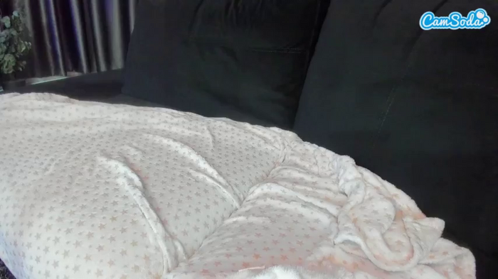 alicexalice