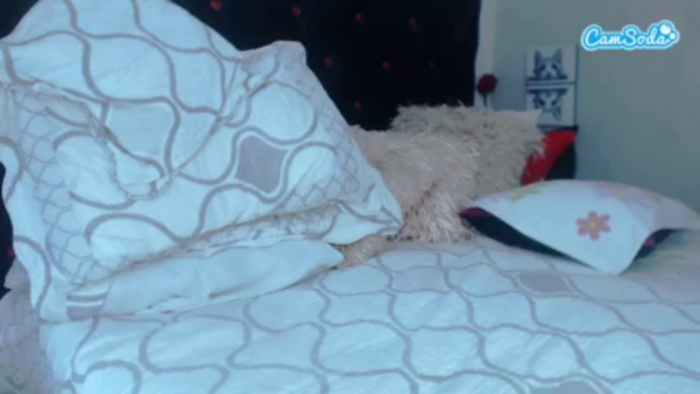 sexyalexax