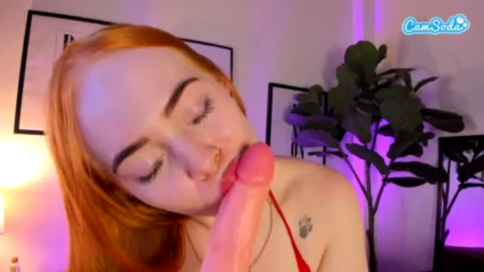 candytroy