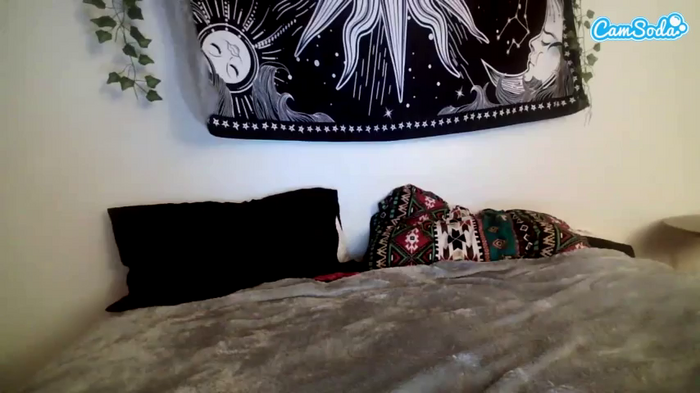 princesskitty