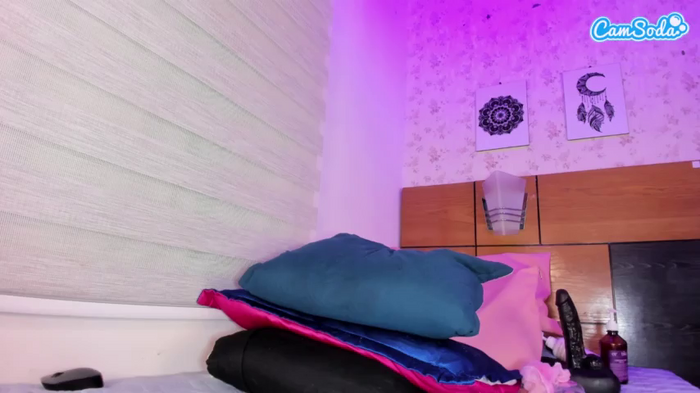 mssburbuja