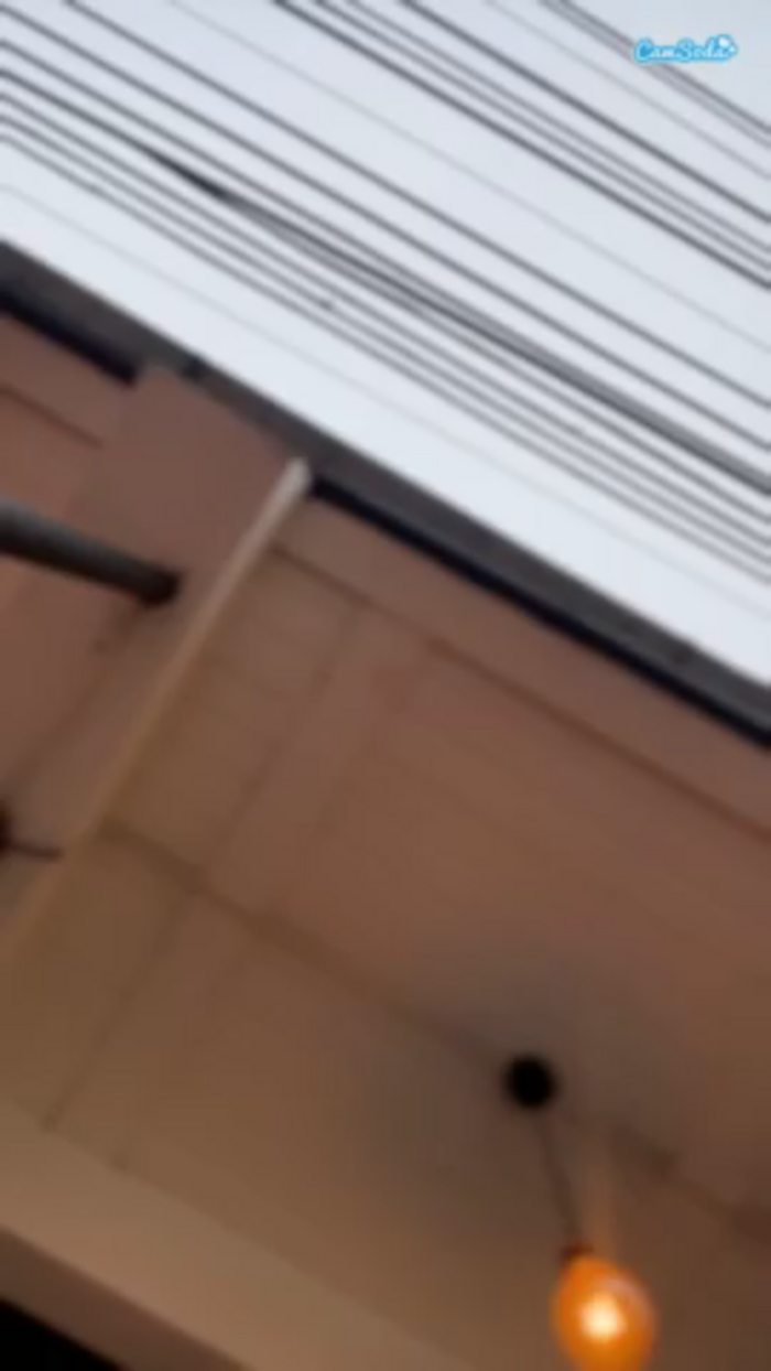 kaorianya1