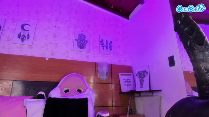 mssburbuja
