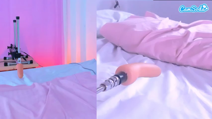 vaiolet-rose
