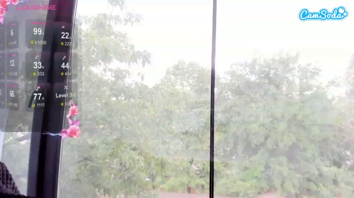 sassyt33n