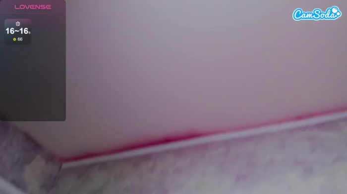 bambikayy