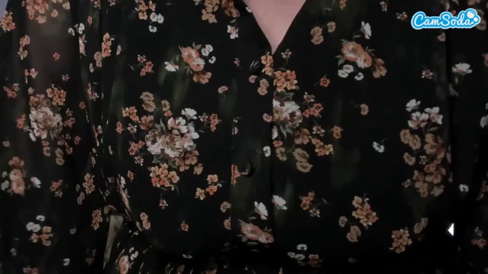 vanessasoft