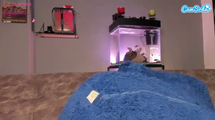sarahsmithh