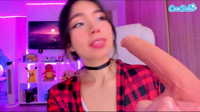 nicollemeyer