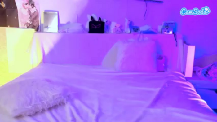 kittybay