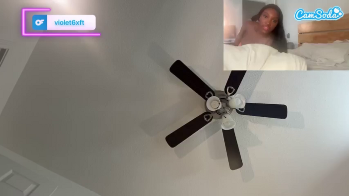 violet6xft