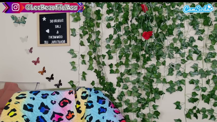 butterflybooty