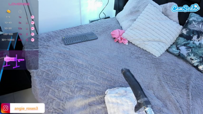 angie-roses