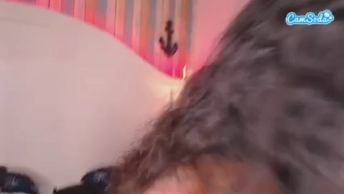 naiagils