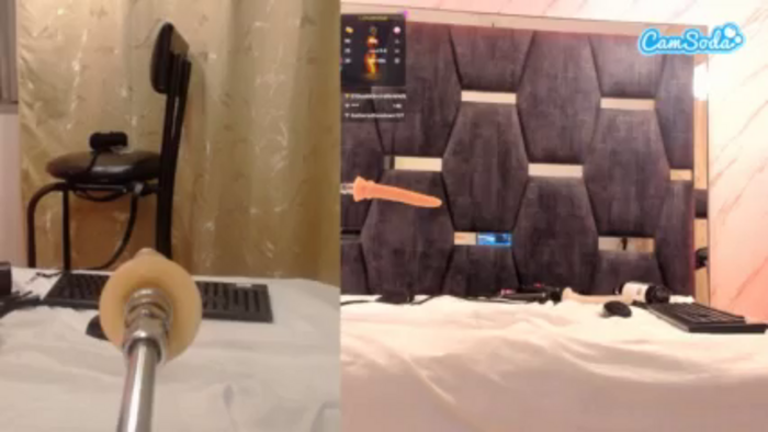 ximenareid
