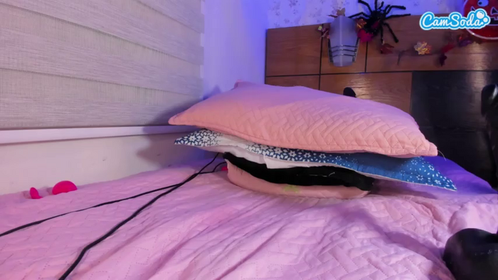 mssburbuja