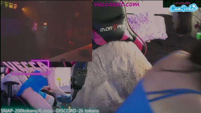 veccasalt