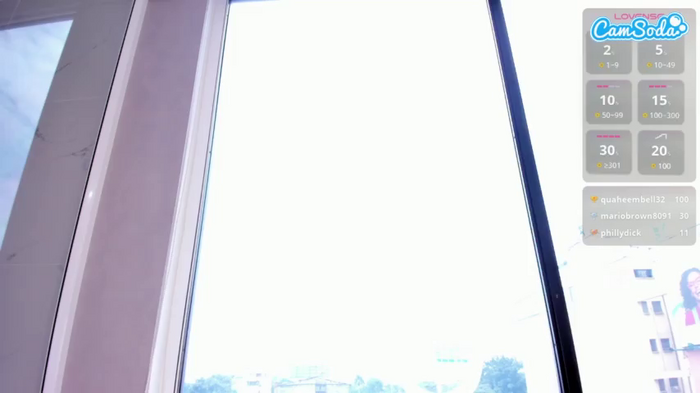 torygrey