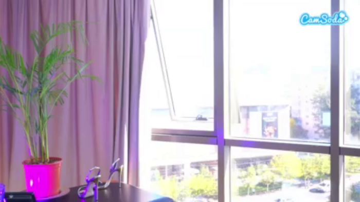 onlynicolle