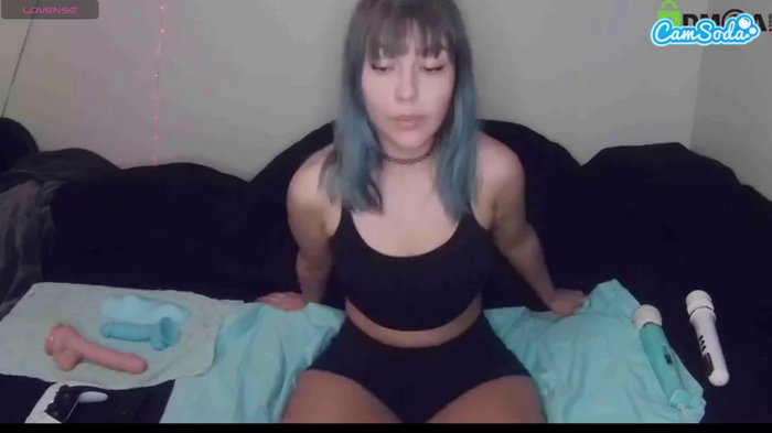 savethebea