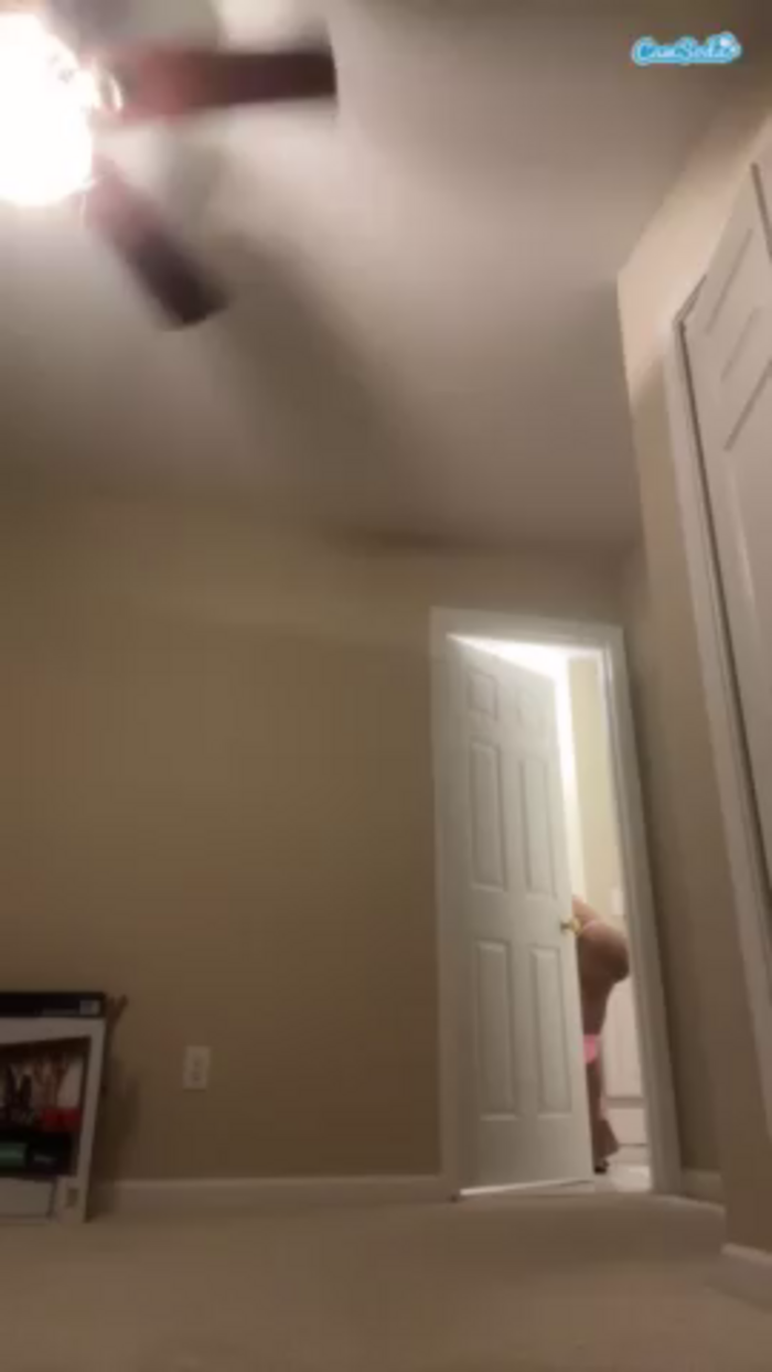 tastethepeach