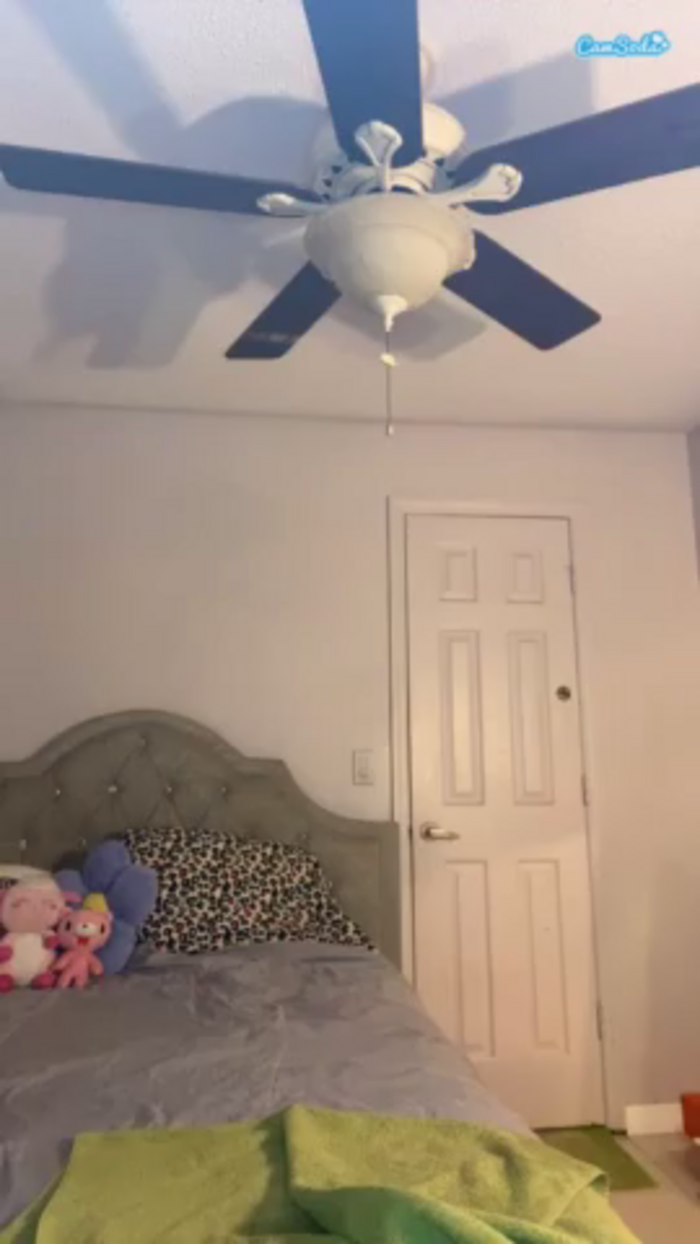 alexachanel1
