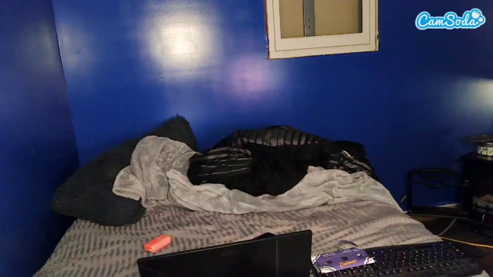 xxstarkittyxx