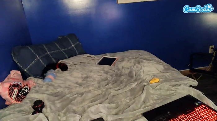 xxstarkittyxx