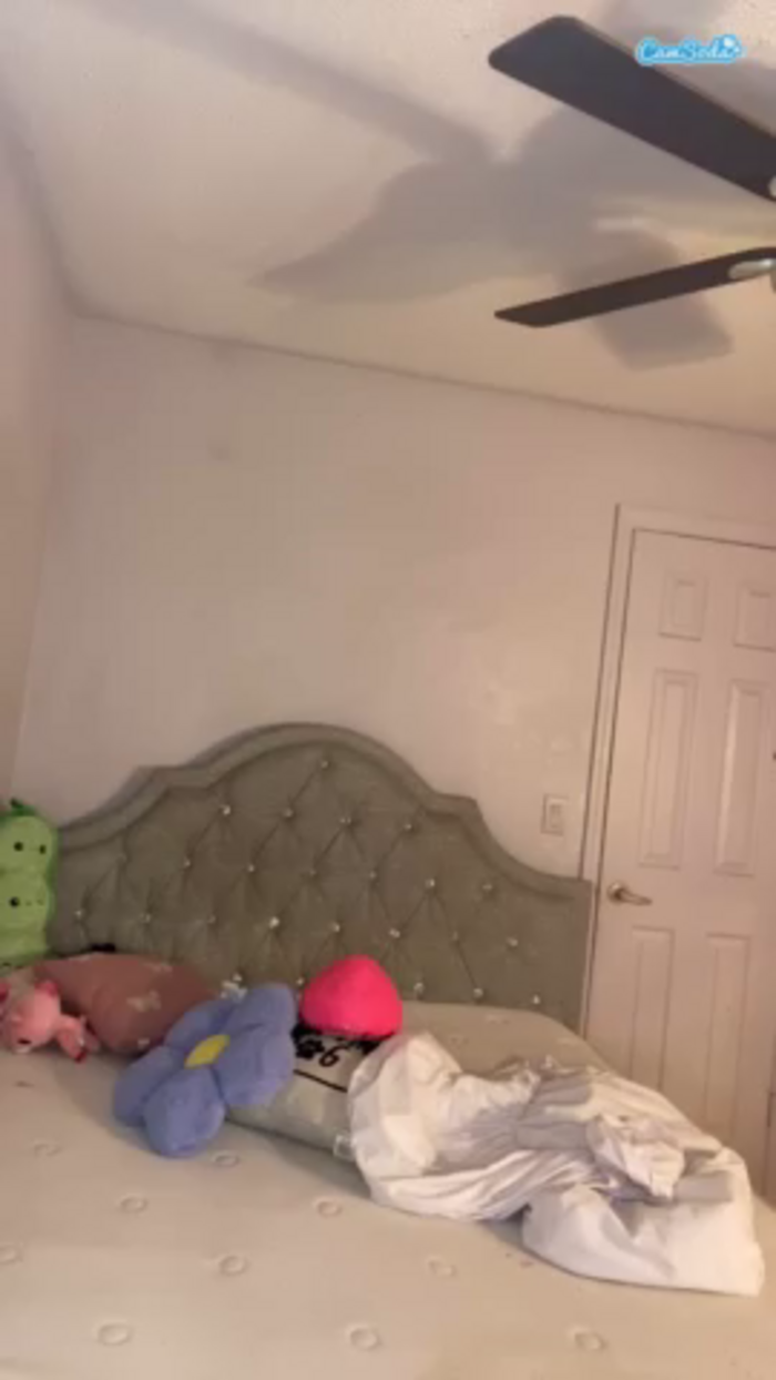 alexachanel1