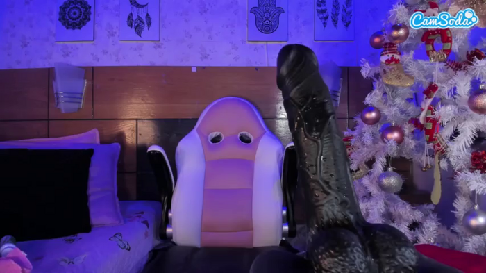 mssburbuja