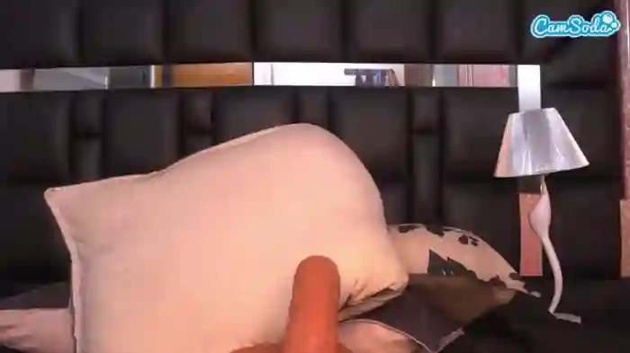 2024/11/28/camsoda-sofi-dream-22-33-03