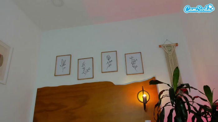 ambarphoenix