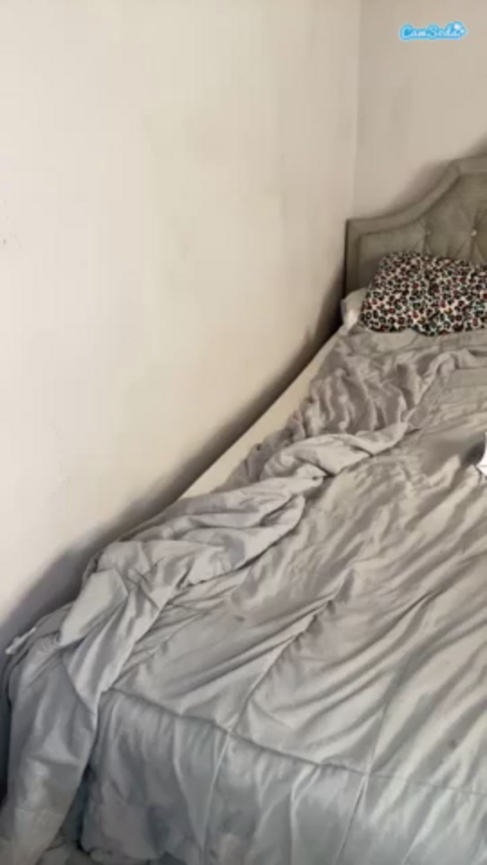 alexachanel1